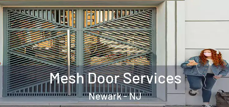 Mesh Door Services Newark - NJ